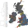 The Irish DNA Atlas: Revealing Fine-Scale Population Structure and History withi
